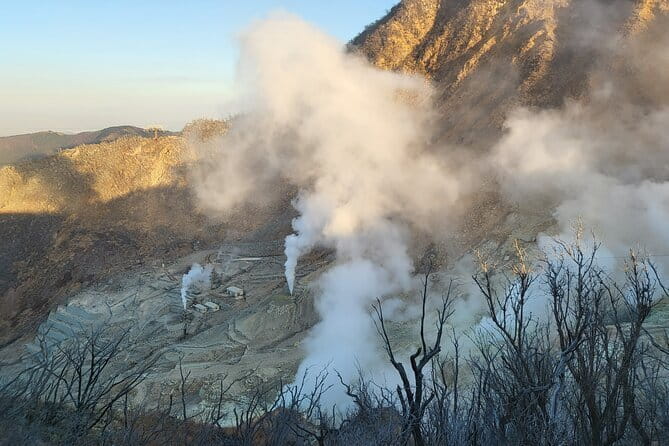 Private Hakone Tour From Tokyo - Accessibility and Additional Info