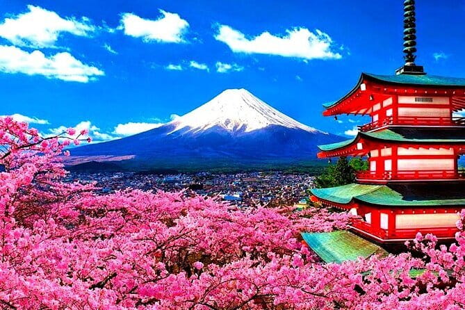 Private Hakone Tour From Tokyo - Getting the Most Out of Your Tour