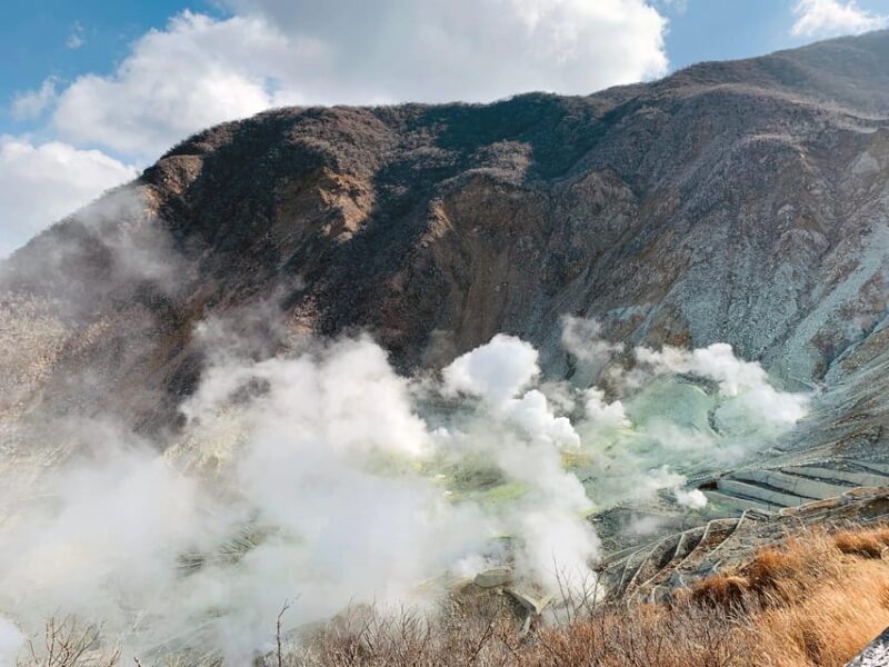 Private Hakone Tour - View Of Mt. Fuji, Nature And Culture - Discovering the Volcanic Wonders of Owakudani