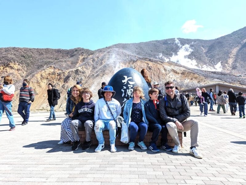 Private Hakone Tour - View Of Mt. Fuji, Nature And Culture - Choosing Between Hakone Open-Air Museum and Onsen Experience