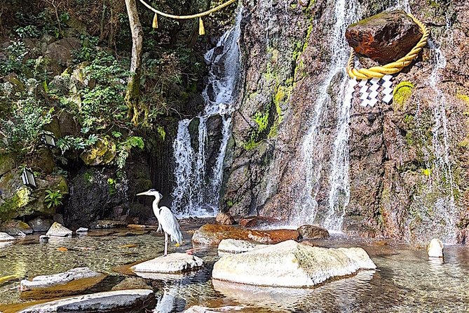 Private Hakone Tour - View of Mt. Fuji, Nature and Culture - Physical Activity Requirements