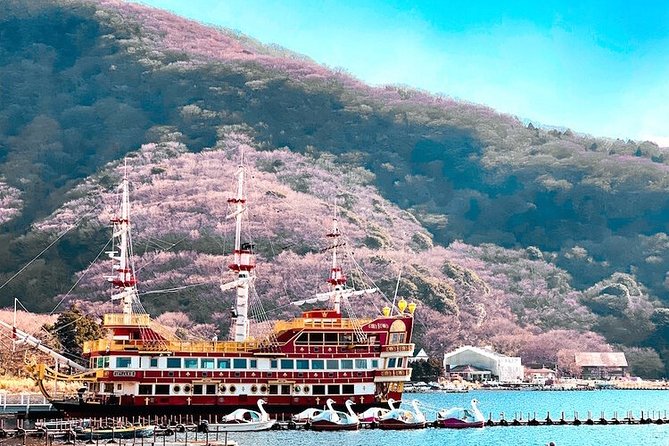Private Hakone Tour - View of Mt. Fuji, Nature and Culture - Inclusions and Exclusions