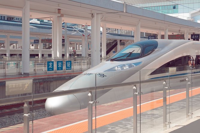 Private Hakone Tour - View of Mt. Fuji, Nature and Culture - Tour Guide Information