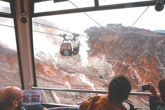 Private Hakone Tour - View of Mt. Fuji, Nature and Culture - Accessibility Considerations