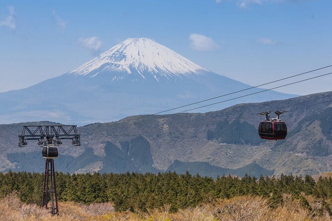 Private Hakone Tour With a Luxury Van - Admissions