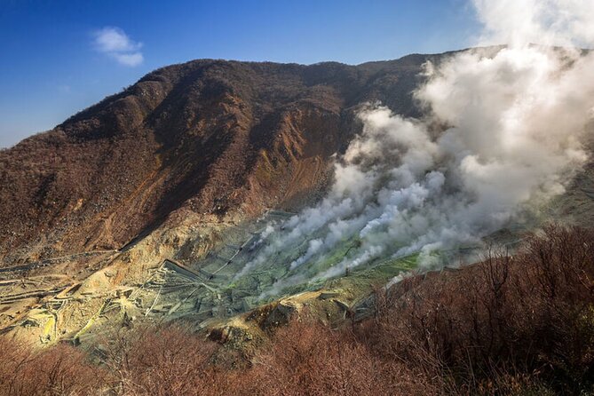 Private Hakone Tour With a Luxury Van - Pickup Information