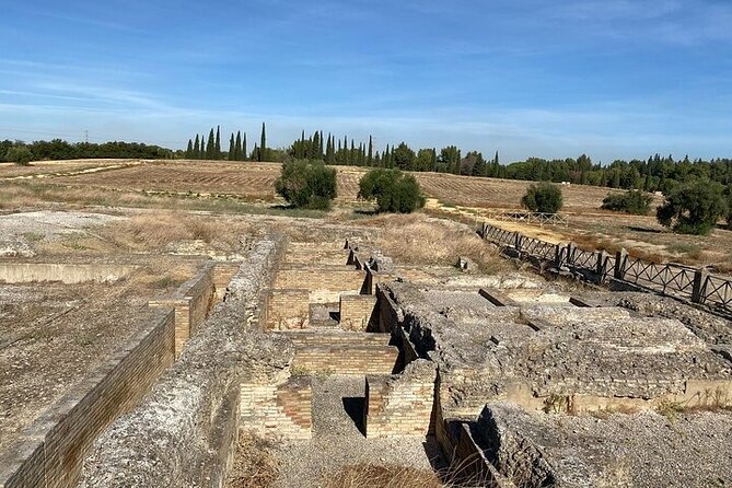 Private Hald Day Tour to the Historic Roman City of Italica - Accessibility and Restrictions