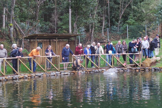 Private Half-Day 4X4 Experience: East or West - Reviews and Ratings