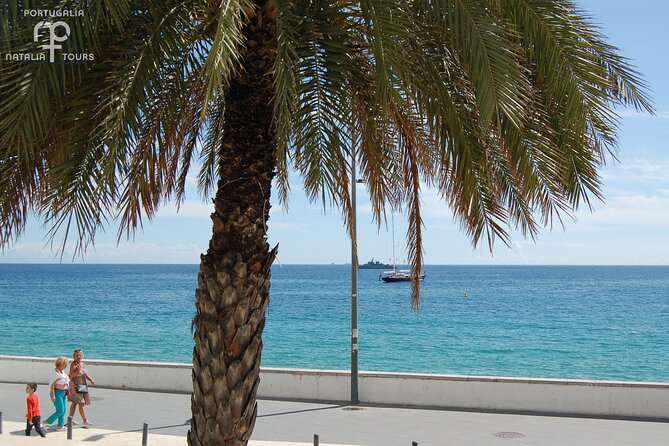 Private Half Day Arrabida Tour With Wine Tasting in Sesimbra - Traveler Feedback and Tour Highlights