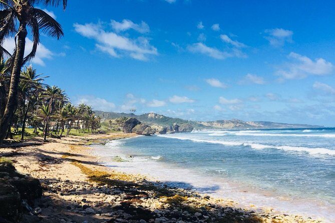 Private Half-Day Barbados Excursion - Key Points