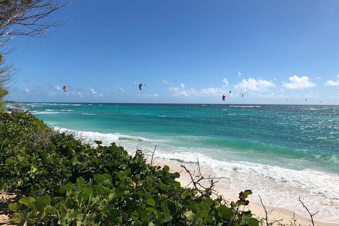 Private Half-Day Barbados Excursion - An In-Depth Look at the Barbados Private Half-Day Tour