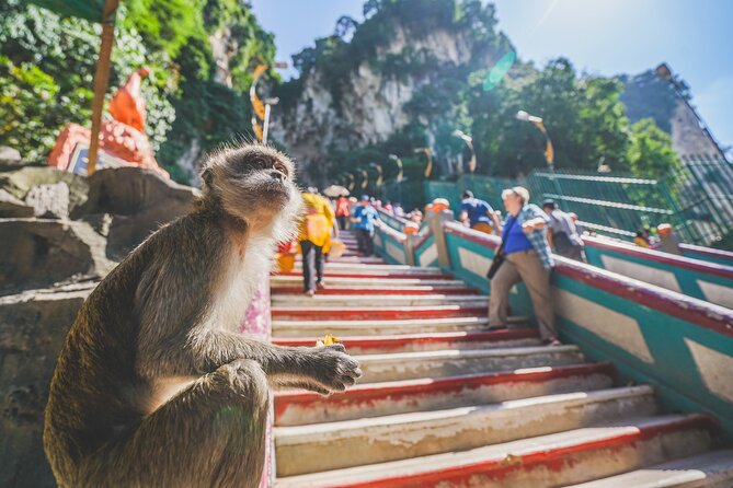 Private Half-Day Batu Caves and Cutural Tour in Kuala Lumpur - Tour Inclusions and Logistics