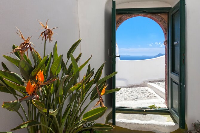 Private Half Day - Best of Santorini and Wine Tasting Tour - Accessibility and Participation