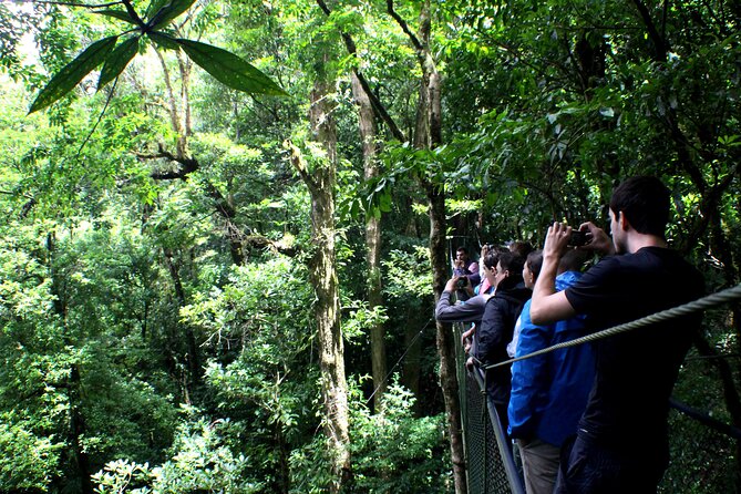 Private Half-Day Birding at Monteverde Cloud Forest - Passionate and Knowledgeable Guides
