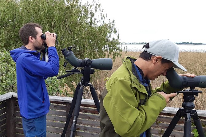Private Half-Day Birding at Monteverde Cloud Forest - Spotting Rare and Unique Birds