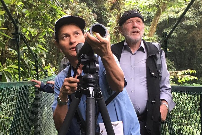 Private Half-Day Birding at Monteverde Cloud Forest - Reviews and Ratings
