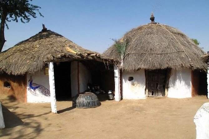 Private Half- Day Bishnoi Village Safari Day Tour In Jodhpur - Tour Highlights