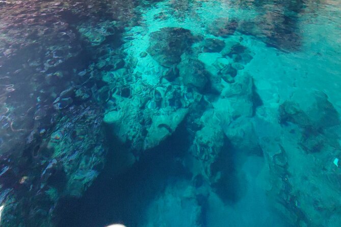 Private Half Day Boat Sazani Island & Haxhi Aliu Cave - Discover Haxhi Aliu Cave