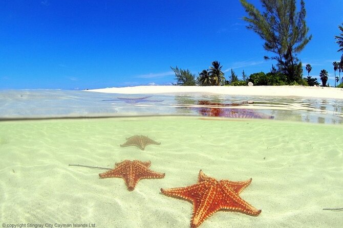 Private Half Day Boat Tour, 3 Locations of Your Choice - About Your Stay