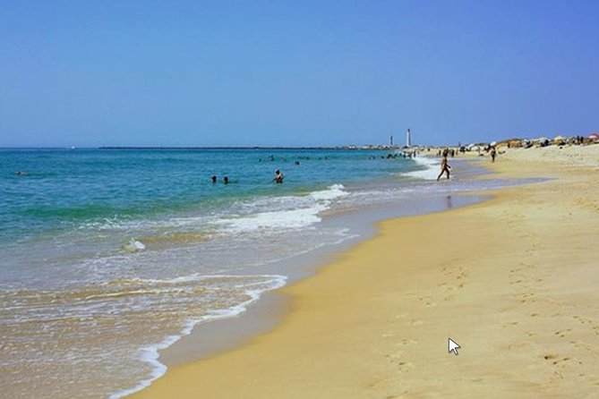 Private Half-Day Boat Tour in Ria Formosa From Faro - Tour Accessibility