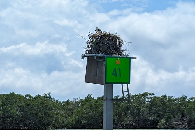 Private Half Day Boat Tour in Sarasota, Florida - Tour Availability