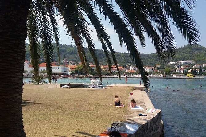 Private Half-Day Boat Tour to Nearby Islands in Zadar With Drinks - Accessibility and Amenities