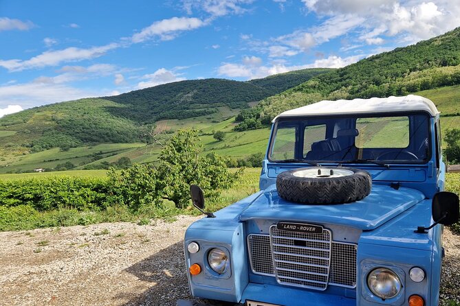 Private Half Day Burgundy Wine and Food Tour by Vintage Defender - Exceptional Customer Reviews