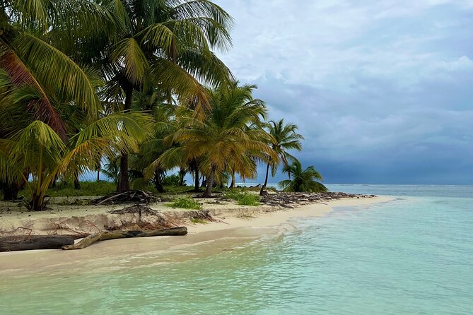 Private Half-Day Catamaran Cruise, Turks and Caicos Islands - Customer Reviews and Experiences
