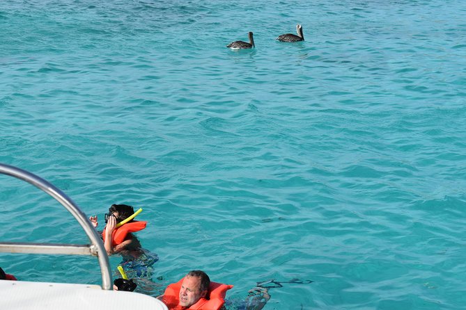 Private Half Day Charter - Meeting and Pickup