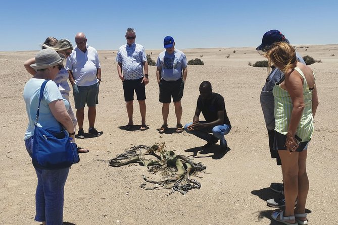 Private Half Day Coast Tour of Walvis Bay and Swakopmund City - Key Points