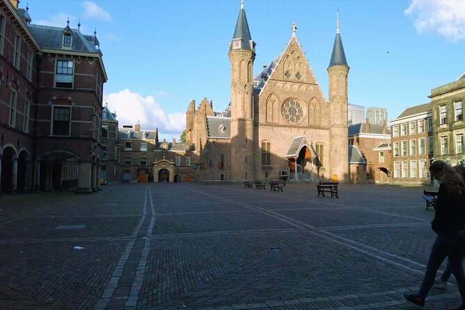 Private Half-Day Delft and the Hague Tour - Accessibility and Participation
