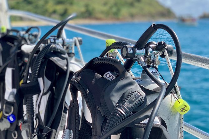 Private Half-Day Dive Trip in St Thomas Virgin Islands - Pricing and Cancellation Policy