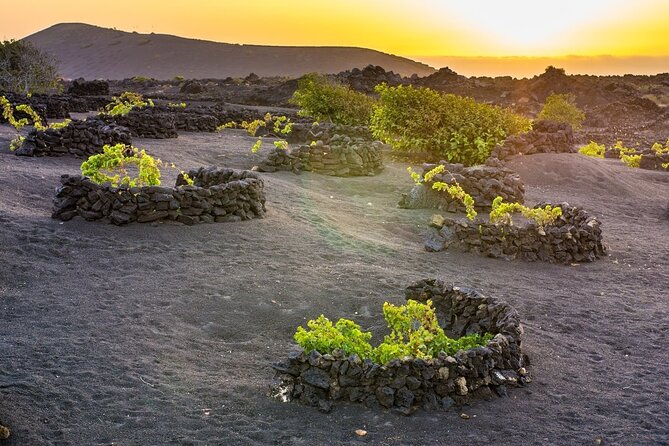 Private Half Day Excursion to Lanzarote With Pick-Up and Drop-Off - Accessibility