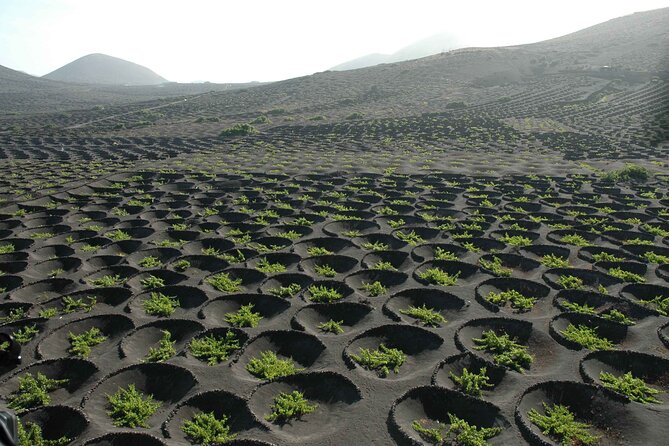 Private Half Day Excursion to Lanzarote With Pick-Up and Drop-Off - Booking Information