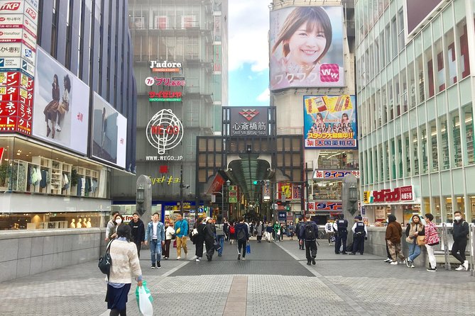 Private Half-Day Guided Tour of Osaka Minami - Accessibility Features