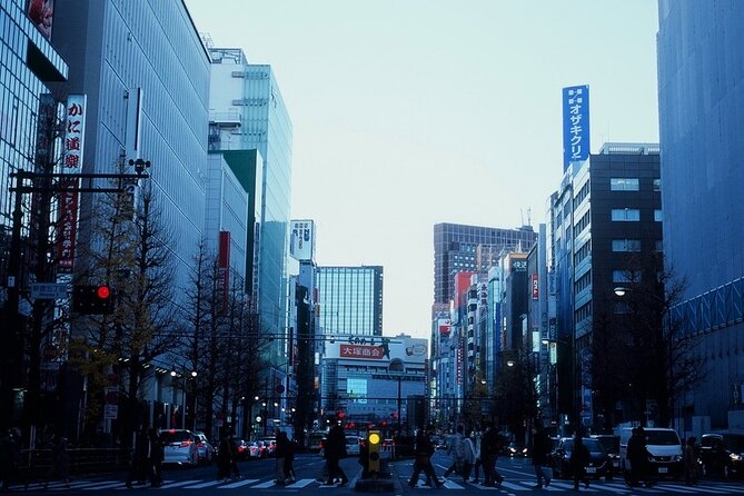 Private Half Day Guided Walking Tour of Shinjuku - Meeting and End Points