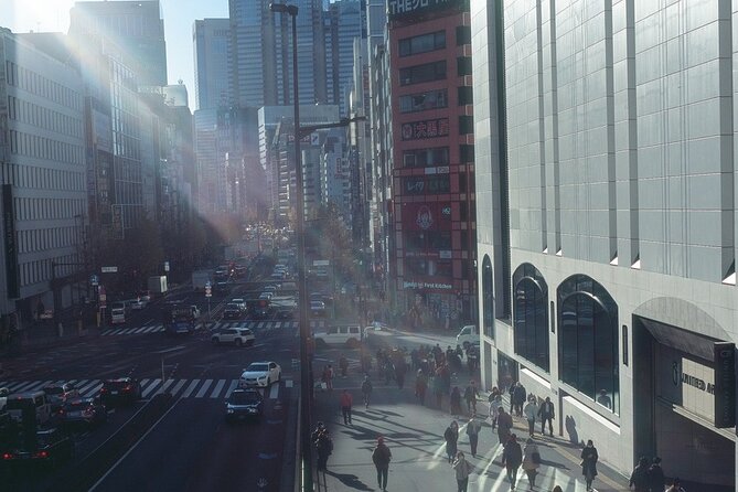 Private Half Day Guided Walking Tour of Shinjuku - Inclusions and Restrictions
