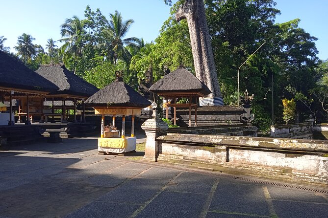 Private Half Day Heritage and Cultural Ubud Tour - All Inclusive - Traveler Reviews