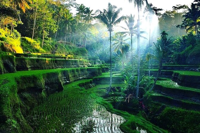 Private Half Day Heritage and Cultural Ubud Tour - All Inclusive - Recommended Experiences