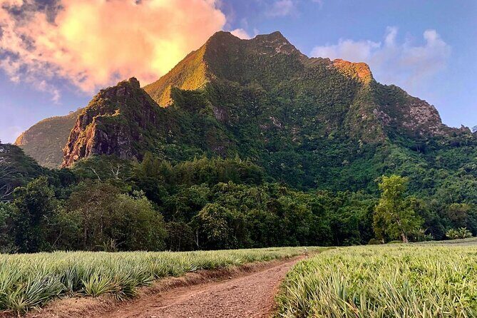 Private Half-Day Hike in the Opunohu Valley in Moorea - Key Points