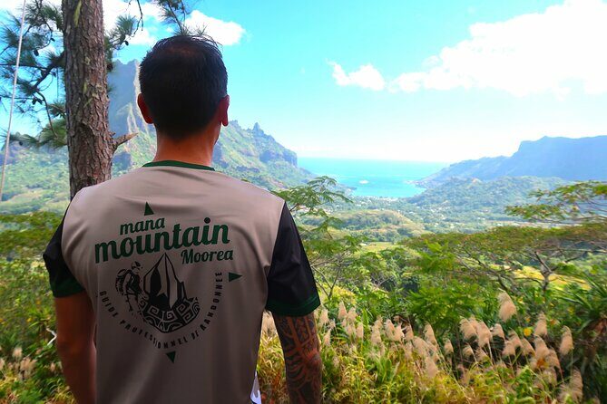 Private Half-Day Hike in the Opunohu Valley in Moorea - What Makes This Tour Stand Out?