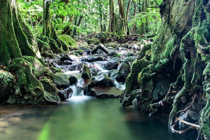 Private Half-Day Hike in the Opunohu Valley in Moorea - The Practical Side: What You Need to Know