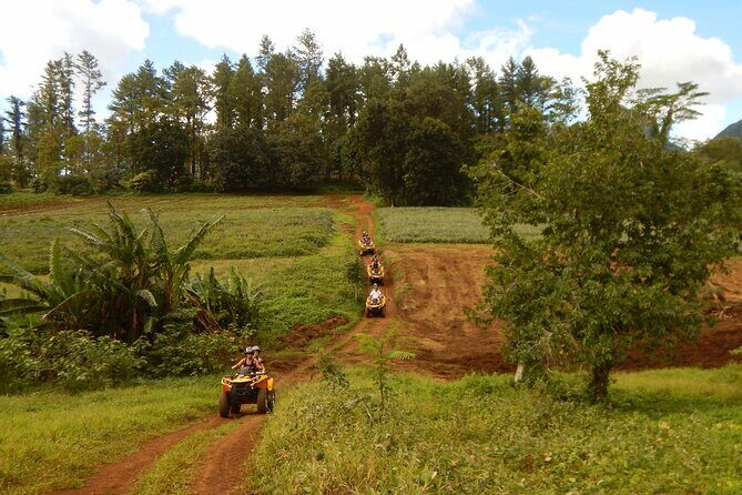 Private Half-Day Hike in the Opunohu Valley in Moorea - Who Would Love This Tour?
