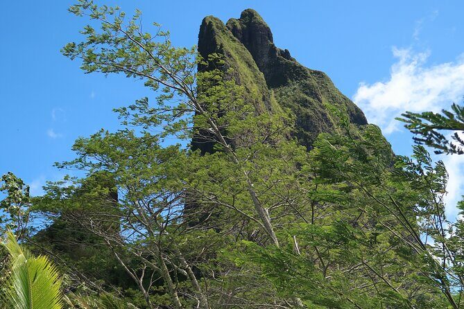 Private Half-Day Hike in the Opunohu Valley in Moorea - The Sum Up: Is This Worth It?