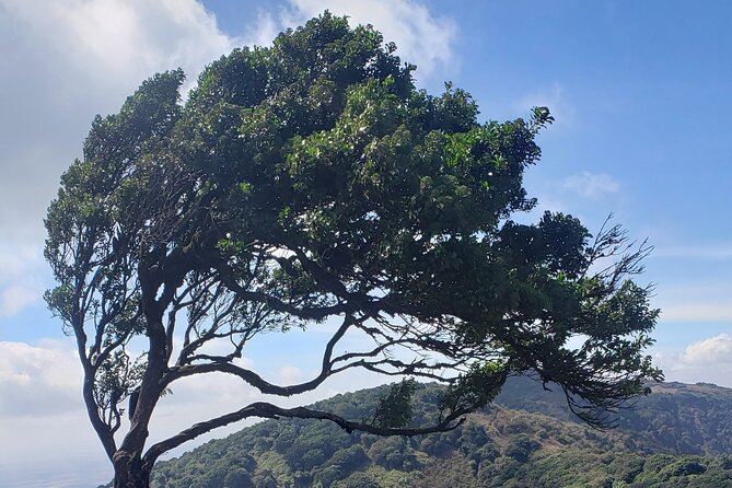 Private Half Day Hike to Ngong Hills From Nairobi - Meeting and Pickup