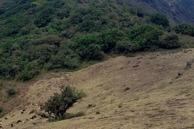 Private Half Day Hike to Ngong Hills From Nairobi - Hiking Highlights