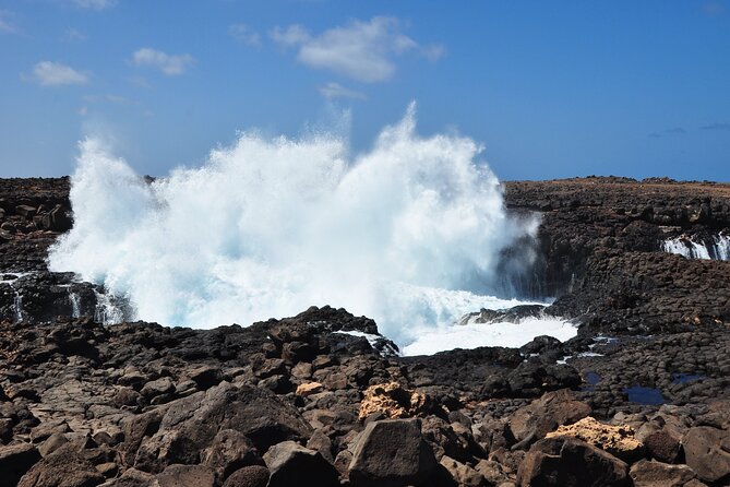 Private Half-Day Island Tour With Shark Watching Experience From Santa Maria - Inclusions