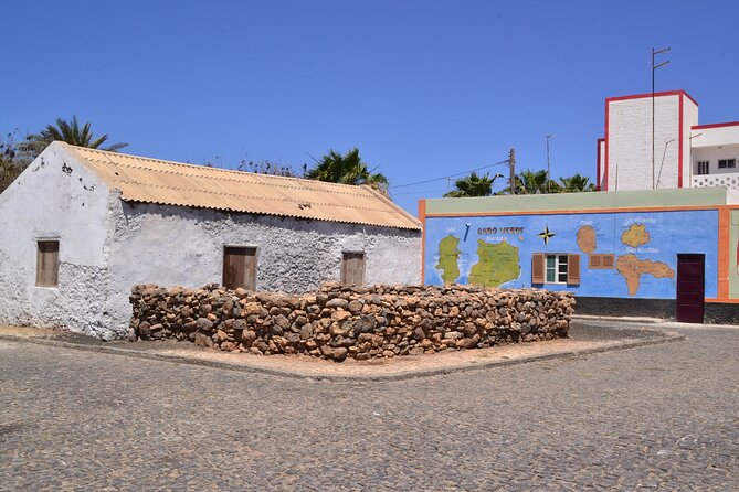 Private Half-Day Island Tour With Shark Watching Experience From Santa Maria - Accessibility and Participation
