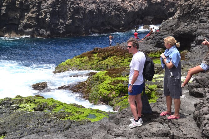 Private Half-Day Island Tour With Shark Watching Experience From Santa Maria - Reviews and Feedback