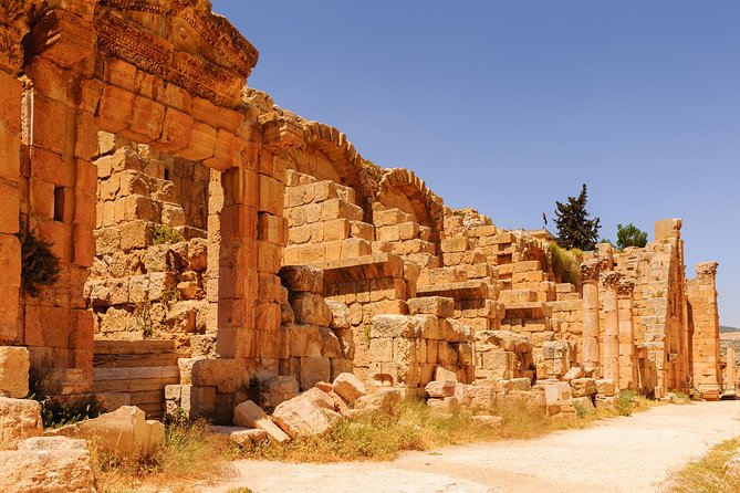 Private Half Day Jerash and Amman Sightseeing Tour - Accessibility and Special Requests